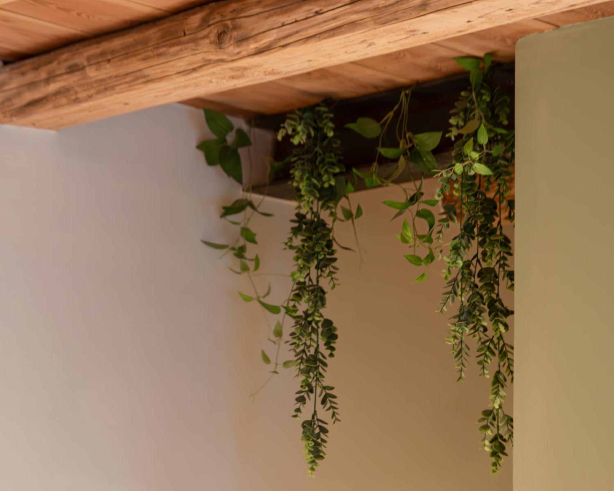 Bacaria Bed&Breakfast Bassano del Grappa Kültér fotó